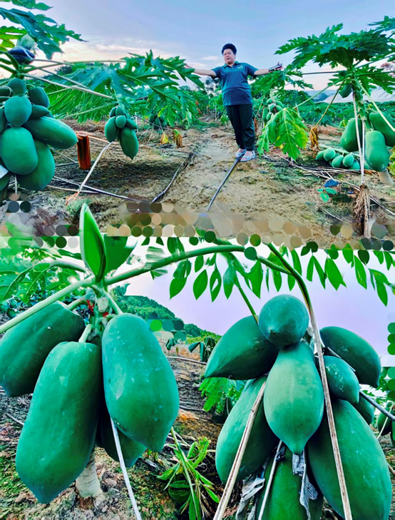 1762348158962663.png image.png